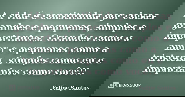 A vida é constituída por coisas grandes e pequenas, simples e importantes. Grandes como o amor e pequenas como a tristeza, simples como eu e importantes como vo... Frase de Felipe Santos.