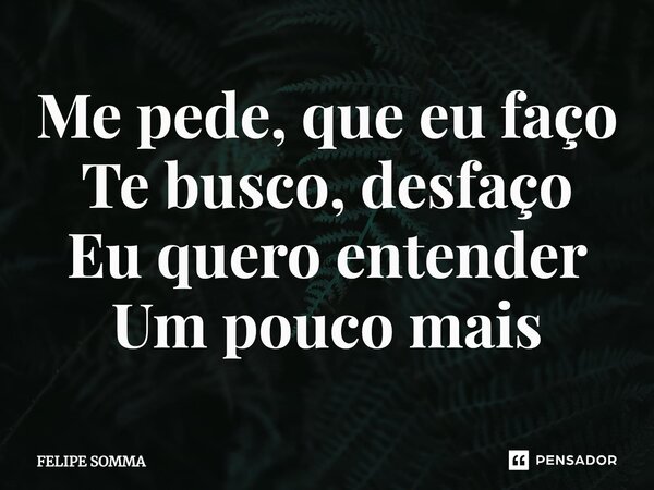 ⁠Me pede, que eu faço Te busco, desfaço Eu quero entender Um pouco mais... Frase de FELIPE SOMMA.