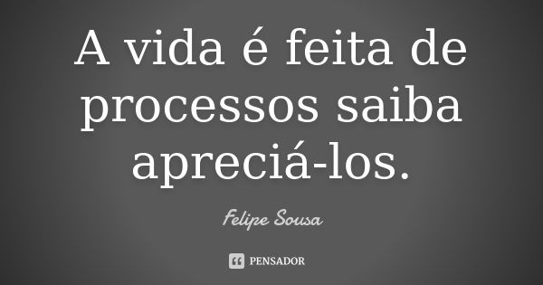 A vida é feita de processos saiba apreciá-los.... Frase de Felipe Sousa.