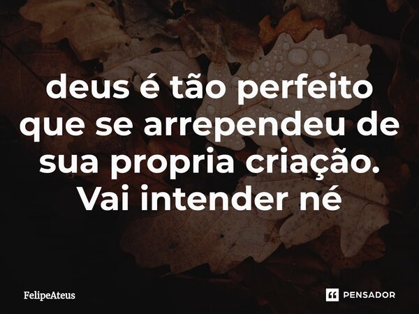 ⁠deus é tão perfeito que se arrependeu de sua propria criação. Vai intender né... Frase de FelipeAteus.