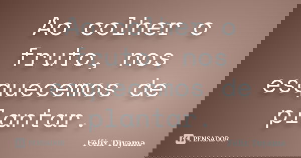 Ao colher o fruto, nos esquecemos de plantar.... Frase de Félix Tuyama.