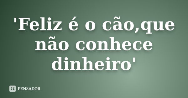 'Feliz é o cão,que não conhece dinheiro'