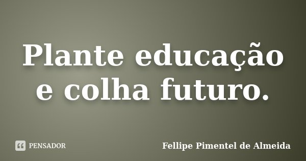 Plante educação e colha futuro.... Frase de Fellipe Pimentel de Almeida.