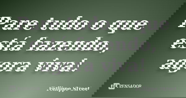 Pare tudo o que está fazendo, agora viva!... Frase de Fellippe Street.