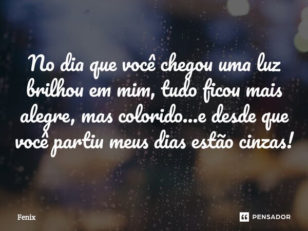 ⁠No dia que você chegou uma luz brilhou em mim, tudo ficou mais alegre, mas colorido...e desde que você partiu meus dias estão cinzas!... Frase de Fenix.