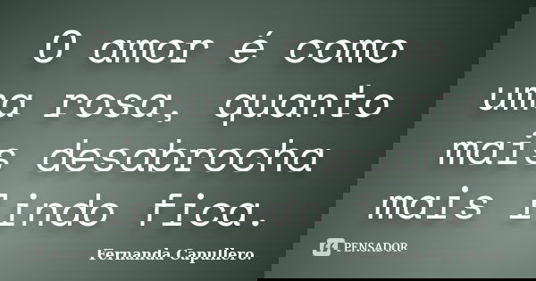 O amor é como uma rosa, quanto mais desabrocha mais lindo fica.... Frase de Fernanda Capullero..