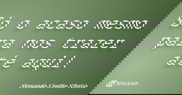 Só o acaso mesmo para nos trazer até aqui!... Frase de Fernanda Coelho Vitória.