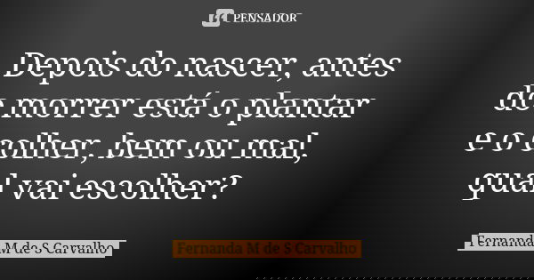 Depois do nascer, antes do morrer está o plantar e o colher, bem ou mal, qual vai escolher?... Frase de Fernanda M de S Carvalho..