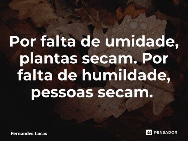 Por falta de umidade, plantas secam. Por falta de humildade, pessoas secam. ⁠... Frase de Fernandes lucas.