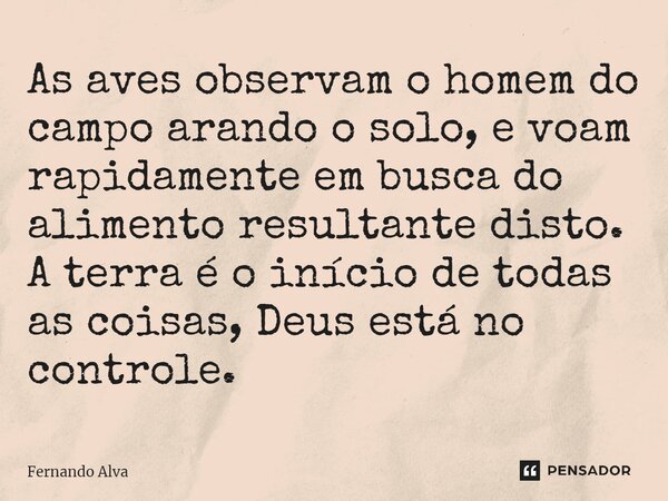 ⁠As aves observam o homem do campo arando o solo, e voam rapidamente em busca do alimento resultante disto. A terra é o início de todas as coisas, Deus está no ... Frase de Fernando Alva.