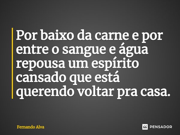 ⁠Por baixo da carne e por entre o sangue e água repousa um espírito cansado que está querendo voltar pra casa.... Frase de Fernando Alva.