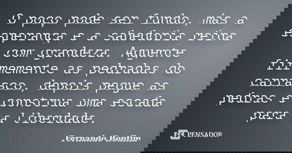 O poço pode ser fundo, más a esperança e a sabedoria reina com grandeza. Aguente firmemente as pedradas do carrasco, depois pegue as pedras e construa uma escad... Frase de Fernando Bonfim.