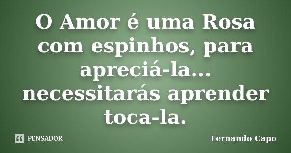 O Amor é uma Rosa com espinhos, para apreciá-la... necessitarás aprender toca-la.... Frase de Fernando Capo.