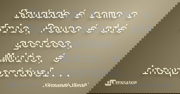 Saudade é como o frio, Pouco é até gostoso, Muito, é insuportável...... Frase de Fernando David.