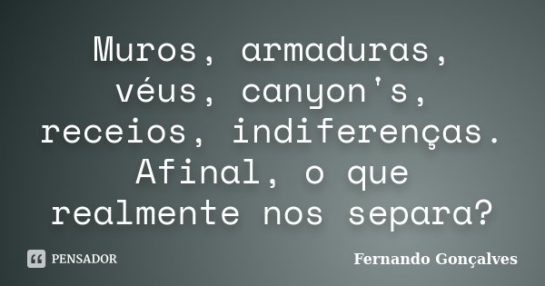 Muros, armaduras, véus, canyon's, receios, indiferenças. Afinal, o que realmente nos separa?... Frase de Fernando Gonçalves.