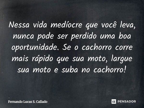 ⁠Nessa vida medíocre que você leva, nunca pode ser perdido uma boa oportunidade. Se o cachorro corre mais rápido que sua moto, largue sua moto e suba no cachorr... Frase de Fernando Lucas S. Callado.