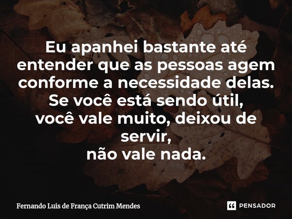 ⁠Eu apanhei bastante até entender que as pessoas agem conforme a necessidade delas. Se você está sendo útil, você vale muito, deixou de servir, não vale nada.... Frase de Fernando Luis de França Cutrim Mendes.