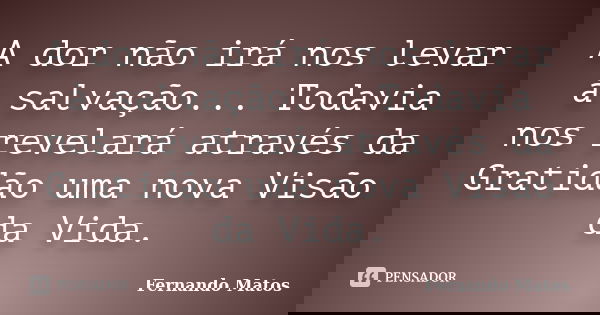 A dor não irá nos levar à salvação... Todavia nos revelará através da Gratidão uma nova Visão da Vida.... Frase de Fernando Matos.