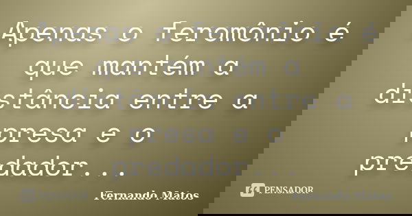 Apenas o feromônio é que mantém a distância entre a presa e o predador...... Frase de Fernando Matos.