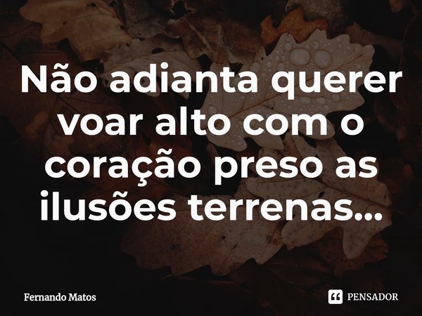 ⁠Não adianta querer voar alto com o coração preso as ilusões terrenas...... Frase de Fernando Matos.