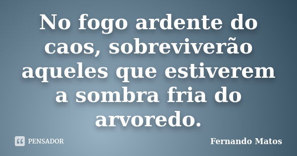 No fogo ardente do caos, sobreviverão aqueles que estiverem a sombra fria do arvoredo.... Frase de Fernando Matos.