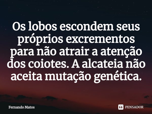 ⁠Os lobos escondem seus próprios excrementos para não atrair a atenção dos coiotes. A alcateia não aceita mutação genética.... Frase de Fernando Matos.