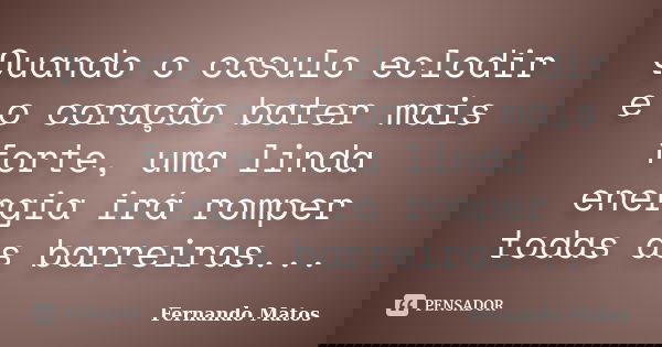Quando o casulo eclodir e o coração bater mais forte, uma linda energia irá romper todas as barreiras...... Frase de Fernando Matos.