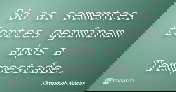 Só as sementes fortes germinam após a Tempestade.... Frase de Fernando Matos.