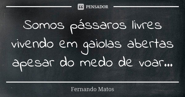 Somos pássaros livres vivendo em gaiolas abertas apesar do medo de voar...... Frase de Fernando Matos.