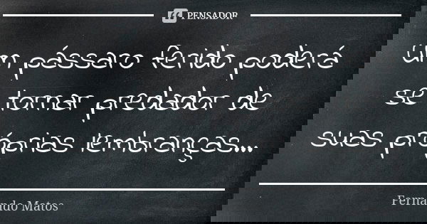 Um pássaro ferido poderá se tornar predador de suas próprias lembranças...... Frase de Fernando Matos.