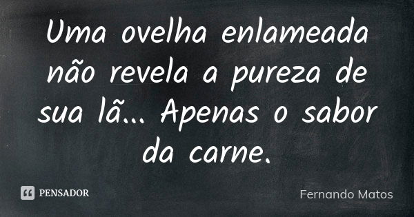 Uma ovelha enlameada não revela a pureza de sua lã... Apenas o sabor da carne.... Frase de Fernando Matos.