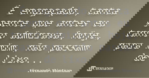 É engraçado, tanta gente que antes eu tanto admirava, hoje, para mim, não passam de lixo...... Frase de Fernando Montuan.