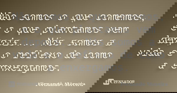 Não somos o que comemos, e o que plantamos vem depois... Nós somos a vida e o reflexo de como a enxergamos.... Frase de Fernando Moreira.