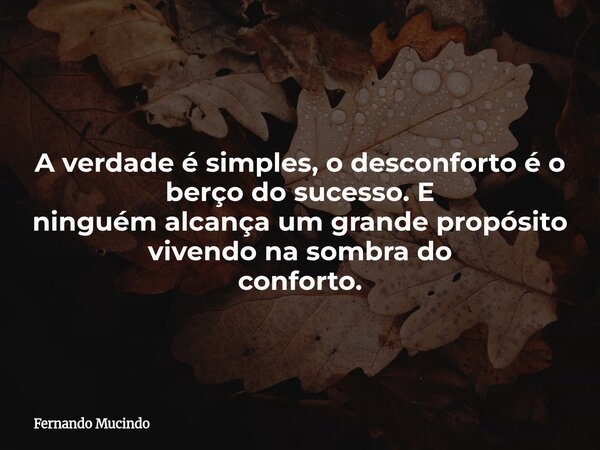A verdade é simples, o desconforto é o berço do sucesso. E ninguém alcança um grande propósito vivendo na sombra do conforto.... Frase de Fernando Mucindo.