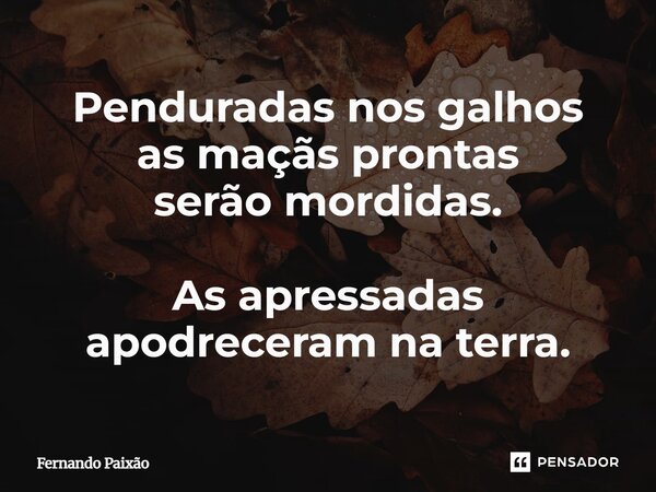 ⁠Penduradas nos galhos as maçãs prontas serão mordidas. As apressadas apodreceram na terra.... Frase de Fernando Paixão.