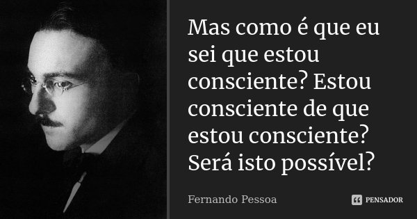 Mas como é que eu sei que estou consciente? Estou consciente de que estou consciente? Será isto possível?... Frase de Fernando Pessoa.