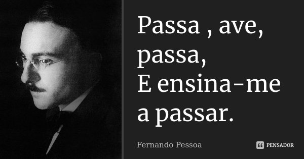 Passa , ave, passa, E ensina-me a passar.... Frase de Fernando Pessoa.