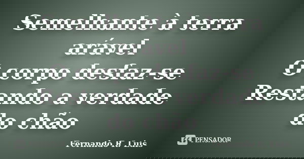 Semelhante à terra arável O corpo desfaz-se Restando a verdade do chão... Frase de Fernando R. Luis.