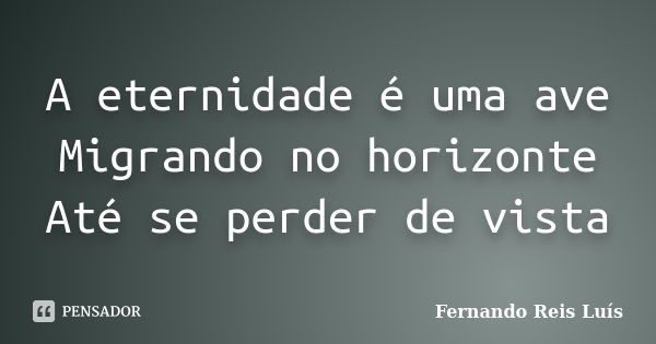 A eternidade é uma ave Migrando no horizonte Até se perder de vista... Frase de Fernando Reis Luís.