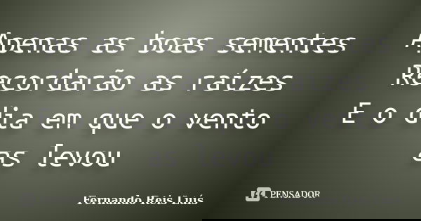 Apenas as boas sementes Recordarão as raízes E o dia em que o vento as levou... Frase de Fernando Reis Luís.