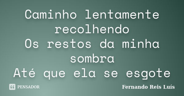 Caminho lentamente recolhendo Os restos da minha sombra Até que ela se esgote... Frase de Fernando Reis Luís.