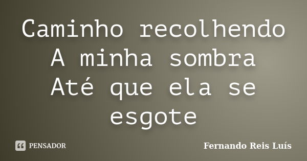 Caminho recolhendo A minha sombra Até que ela se esgote... Frase de Fernando Reis Luís.