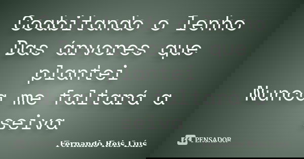Coabitando o lenho Das árvores que plantei Nunca me faltará a seiva... Frase de Fernando Reis Luís.