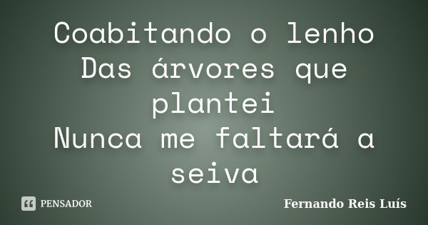 Coabitando o lenho Das árvores que plantei Nunca me faltará a seiva... Frase de Fernando Reis Luís.