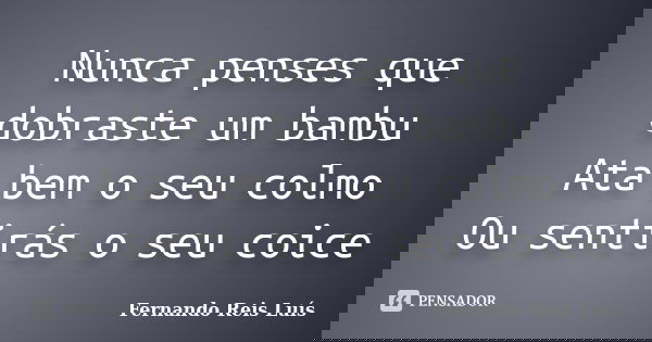 Nunca penses que dobraste um bambu Ata bem o seu colmo Ou sentirás o seu coice... Frase de Fernando Reis Luís.