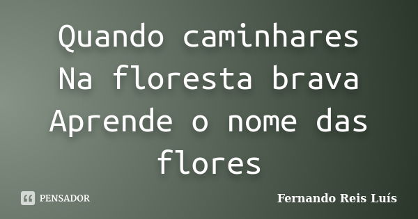 Quando caminhares Na floresta brava Aprende o nome das flores... Frase de Fernando Reis Luís.