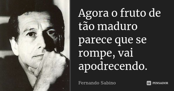Agora o fruto de tão maduro parece que se rompe, vai apodrecendo.... Frase de Fernando Sabino.