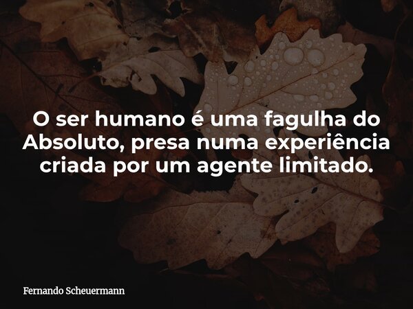 O ser humano é uma fagulha do Absoluto, presa numa experiência criada por um agente limitado.... Frase de Fernando Scheuermann.