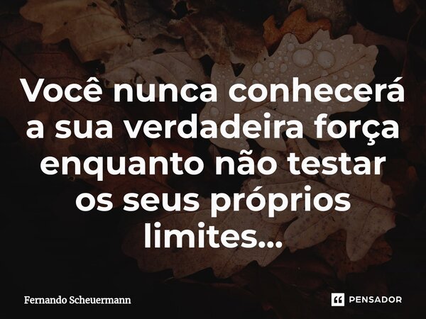 ⁠Você nunca conhecerá a sua verdadeira força enquanto não testar os seus próprios limites...... Frase de Fernando Scheuermann.