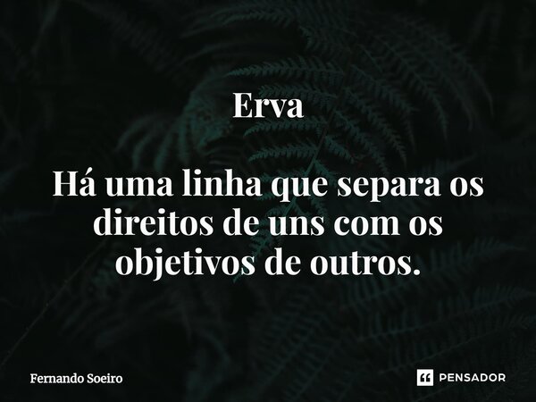 ⁠Erva Há uma linha que separa os direitos de uns com os objetivos de outros.... Frase de Fernando Soeiro.